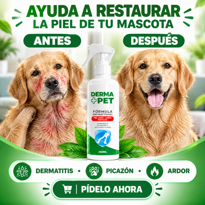 🐶🐱DermaPet™ Adiós dolor e irritación por alergias + Envío Gratis y paga al recibir🎁