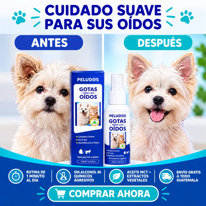🐶 🐱 Gotas para los oídos de perros y gatos - Solución Eficaz para el Canal Auditivo