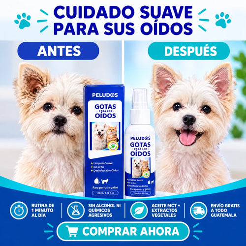 🐶 🐱 Gotas para los oídos de perros y gatos - Solución Eficaz para el Canal Auditivo